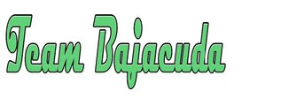 Teambajacuda